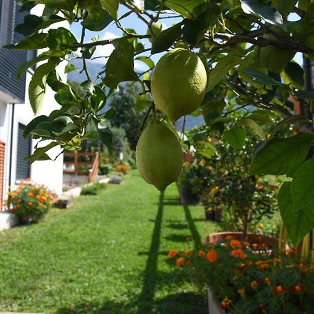 Il Giardino Dei Ciliegi Apartamento Colico Exterior foto