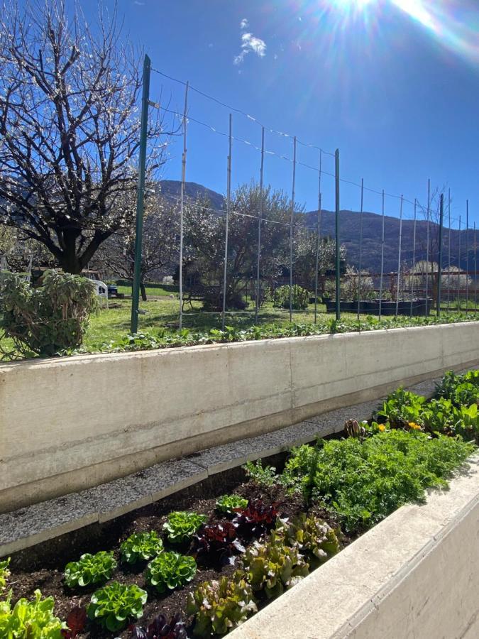 Il Giardino Dei Ciliegi Apartamento Colico Exterior foto