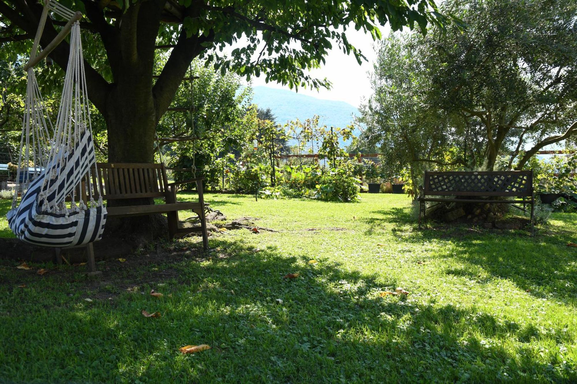 Il Giardino Dei Ciliegi Apartamento Colico Exterior foto