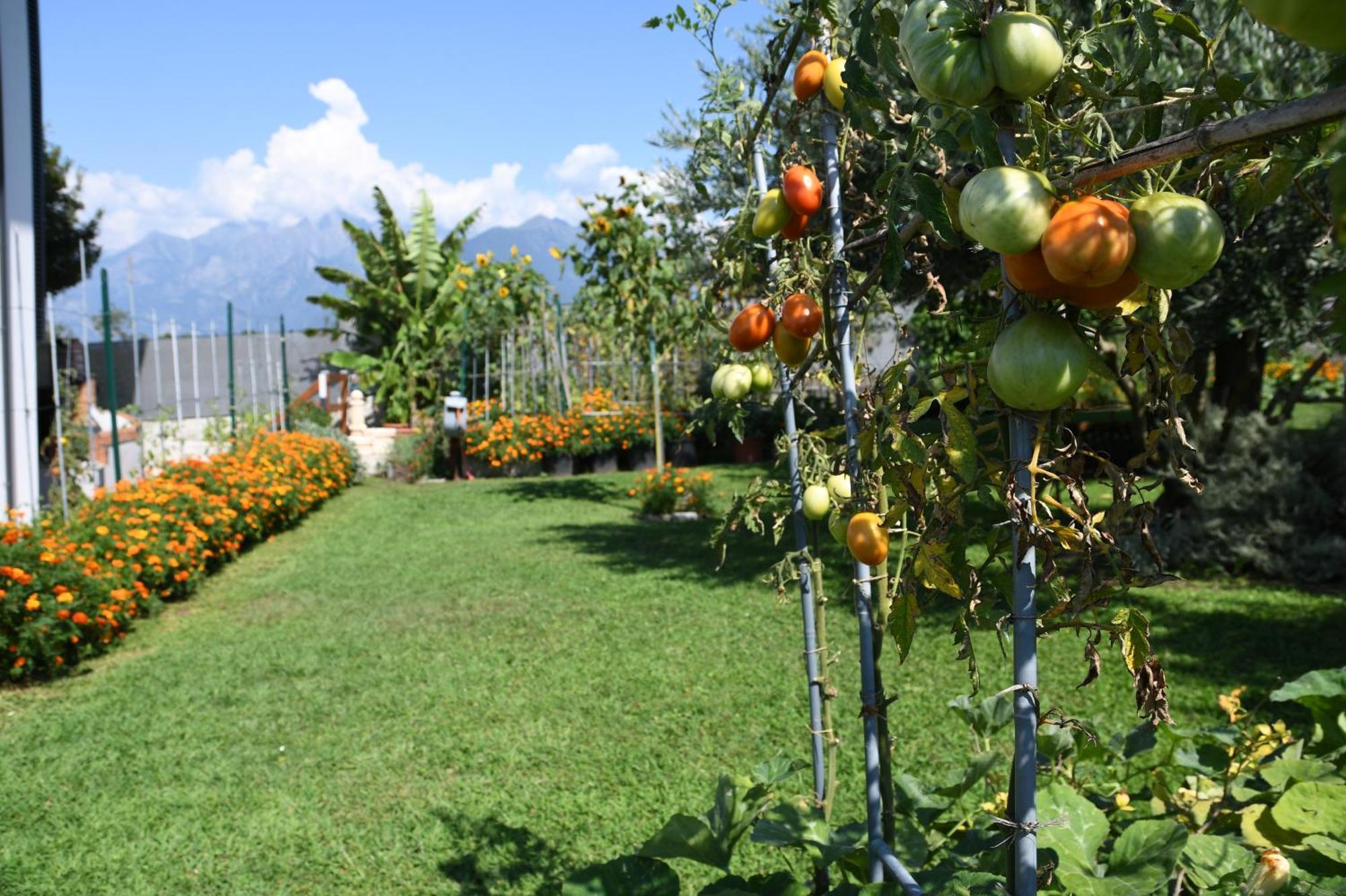 Il Giardino Dei Ciliegi Apartamento Colico Exterior foto