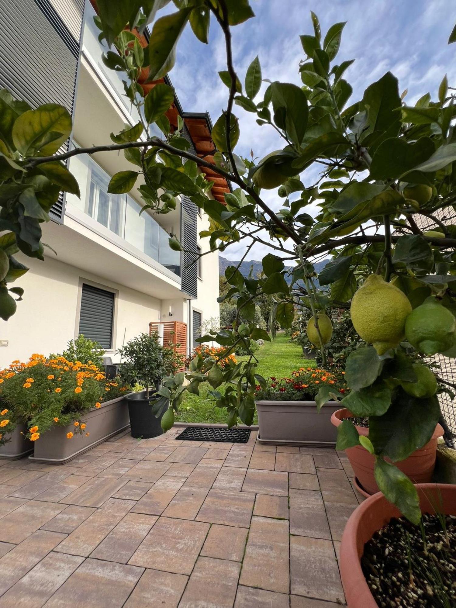 Il Giardino Dei Ciliegi Apartamento Colico Exterior foto