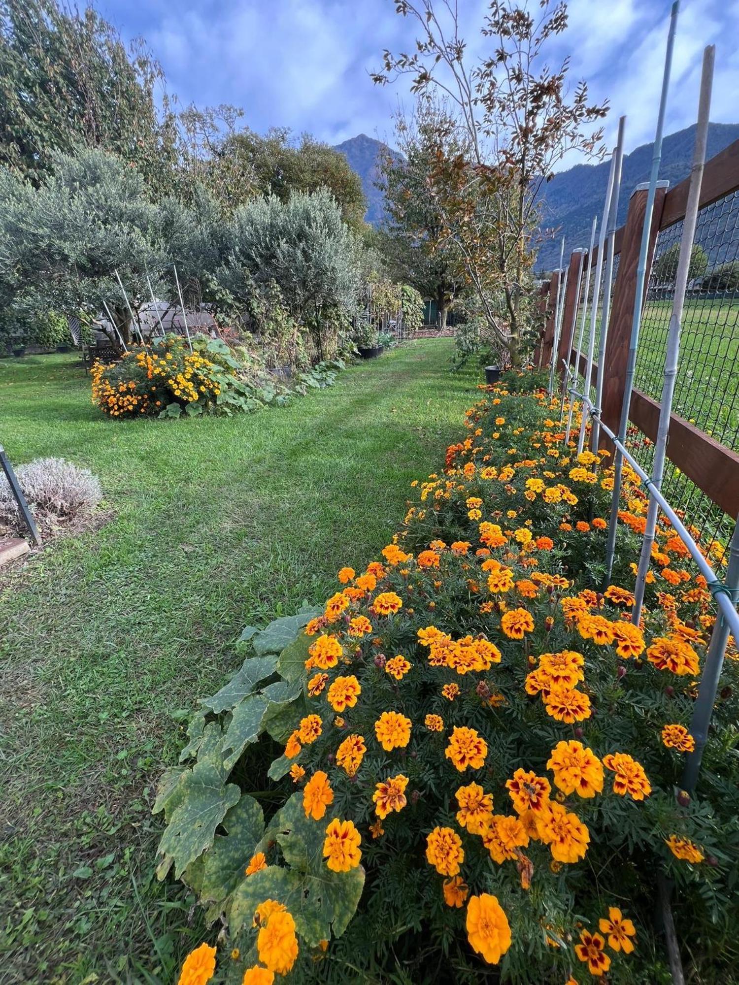 Il Giardino Dei Ciliegi Apartamento Colico Exterior foto